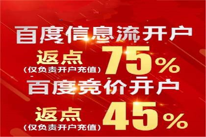 竞价广告端口开户的典型案例剖析